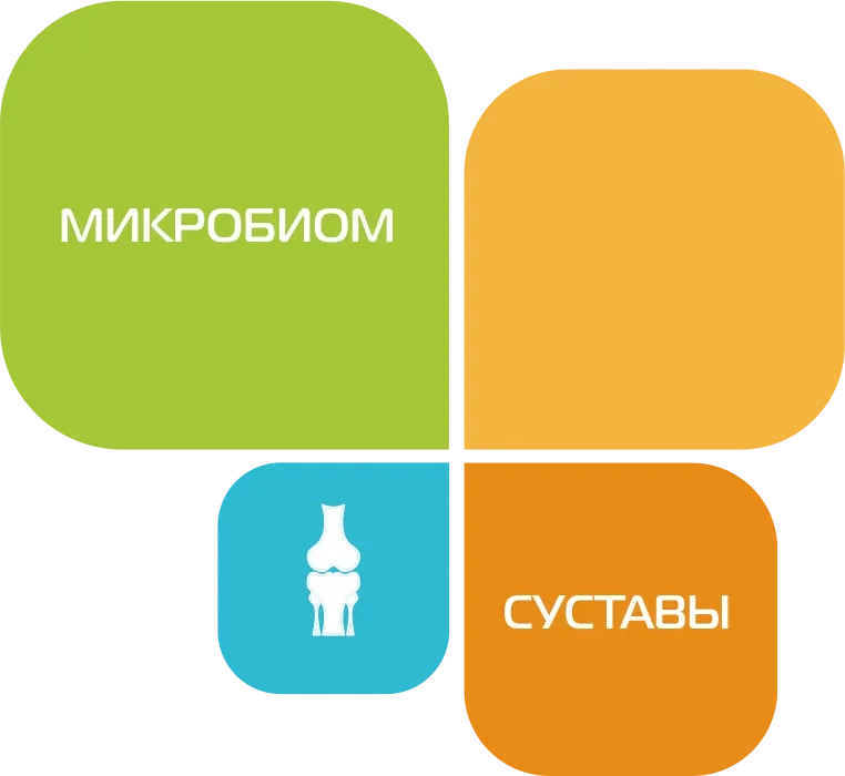Микробиом "Суставы" фото 1 &mdash; Мир Красоты от Елены Крыловой