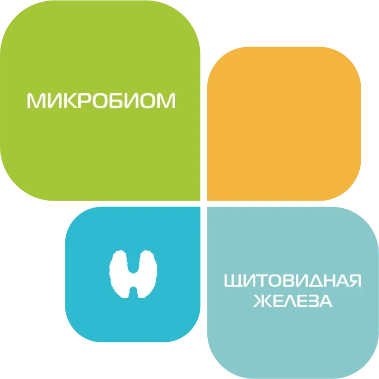 Микробиом "Щитовидная железа" фото 1 &mdash; Мир Красоты от Елены Крыловой